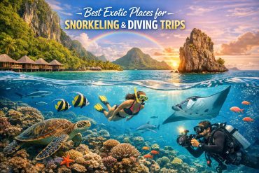 Best Exotic Places for Snorkeling and Diving Trips