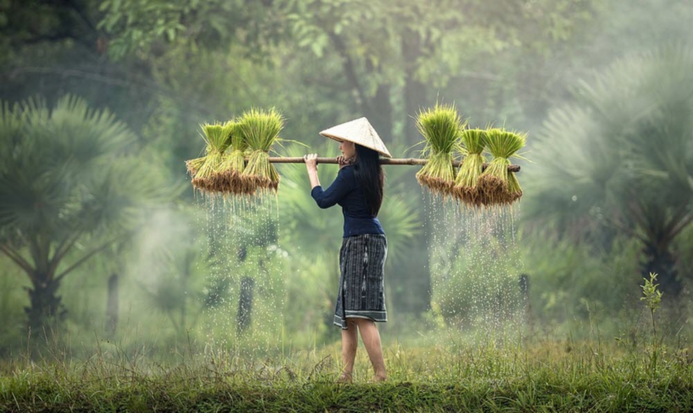 Myanmar woman