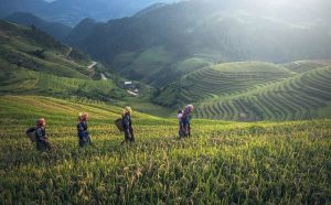 Laos - Reference Voyage